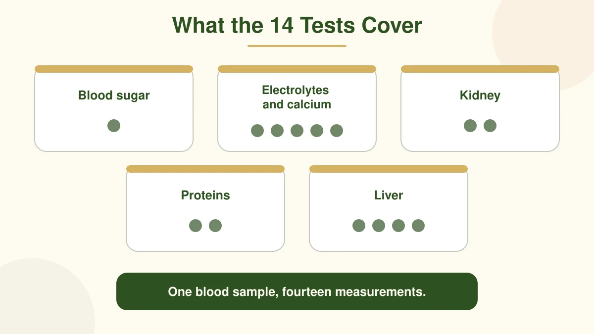 A diagram showing the 14 comprehensive metabolic panel markers grouped into blood sugar, electrolytes and calcium, kidney, proteins, and liver