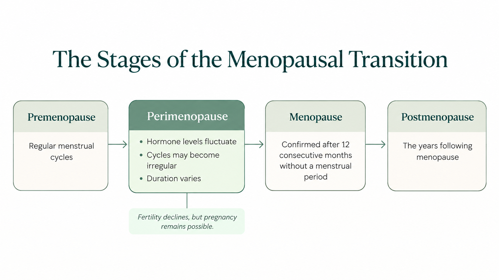 Timeline of premenopause, perimenopause, menopause, and postmenopause