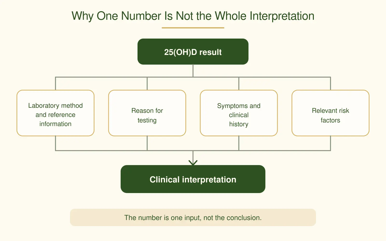 A diagram showing a 25-hydroxyvitamin D result combining with laboratory method, reason for testing, symptoms and risk factors to reach a clinical interpretation