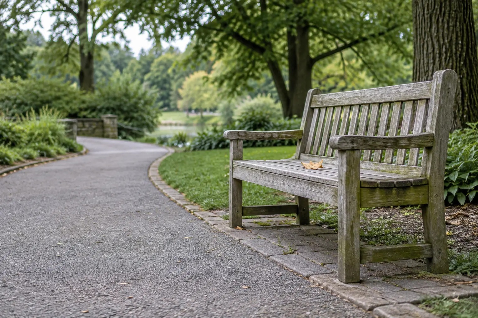 An empty weathered wooden park bench beside a paved path under soft overcast light, with a single leaf resting on the seat