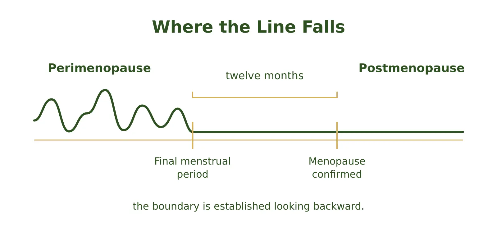 A timeline showing a fluctuating line through perimenopause, a final menstrual period marker, a twelve month span, and a flat lower line through post menopause